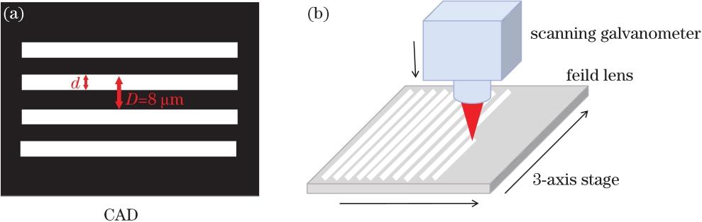 Schematic diagram of laser etching method.(a) CAD drawing of femtosecond laser etching path (gratings); (b) method of top-down femtosecond laser processing
