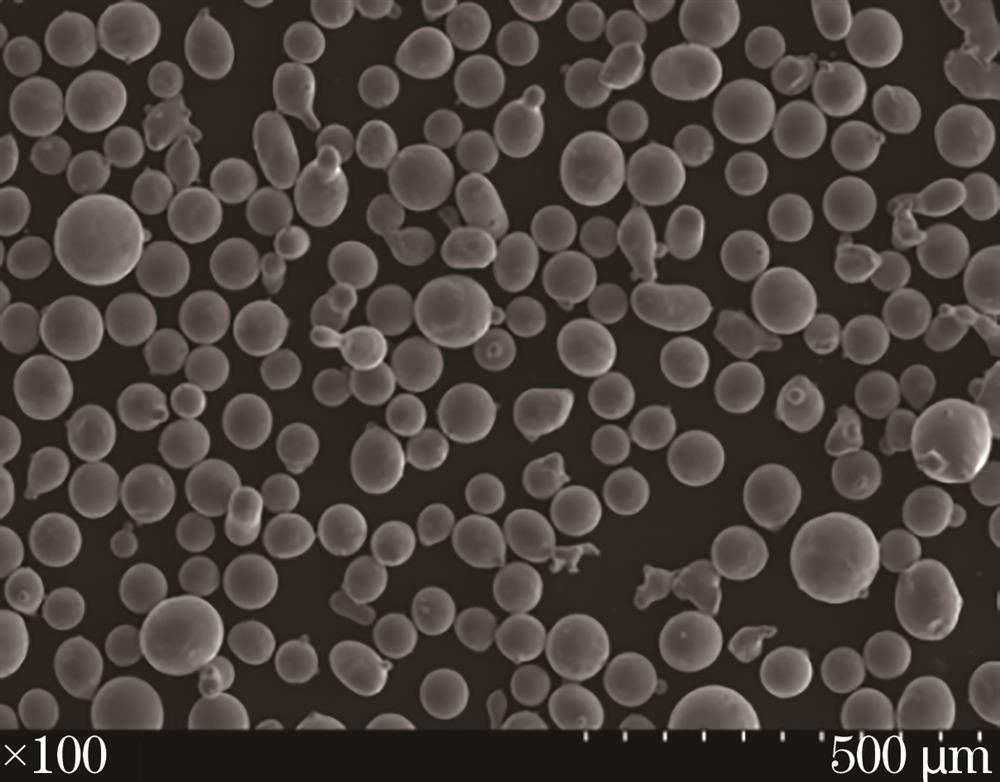 SEM image of Co-based alloy powder