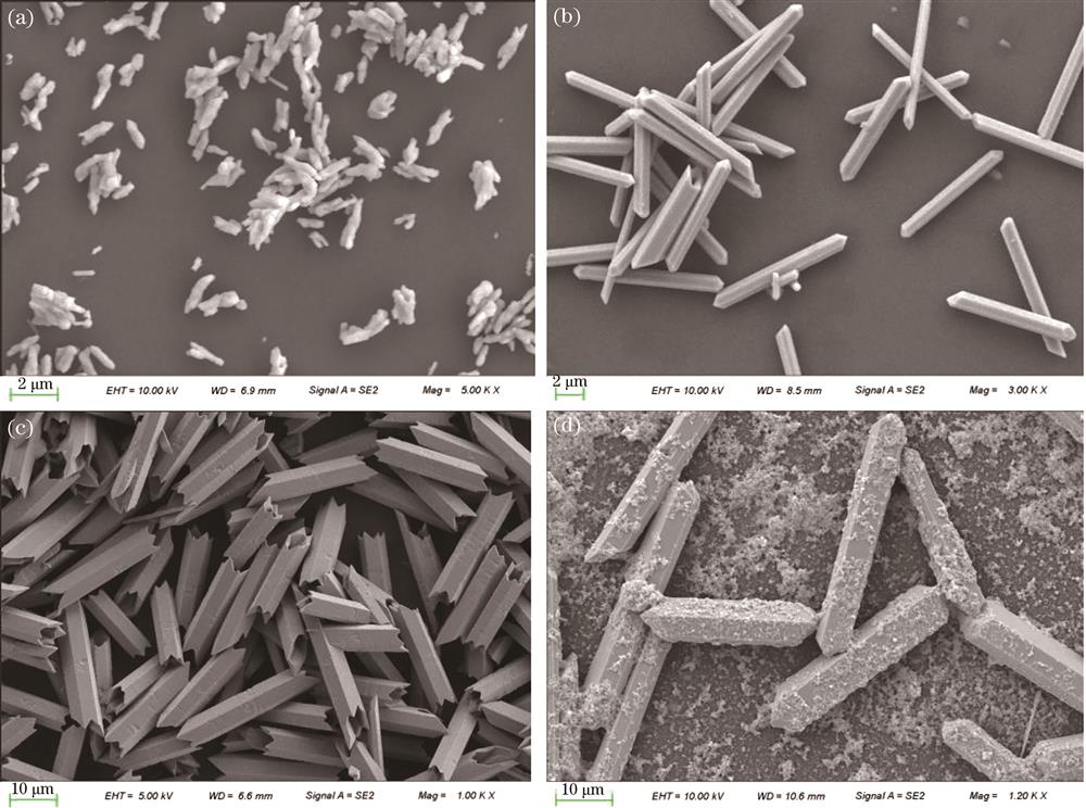 SEM photos of fluoride microcrystals synthesized by hydrothermal method. (a) NaYF4 microcrystals co-doped with Yb3+ and Tm3+ were synthesized by oleic acid alcohol; (b) NaYF4 microcrystals co-doped with Yb3+ and Tm3+, (c) NaLuF4 microtubules co-doped with Yb3+ and Tm3+, and (d) Yb3, Tm3+, and Ho3+ co-doped with NaLuF4 microcrystals