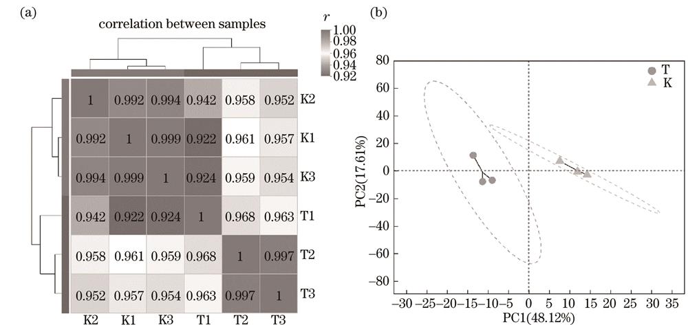 Correlation analysis of samples. (a) Correlation between expressed genes of the blank control group and the intervention group; (b) PCA result of expressed genes of the blank control group and the intervention group