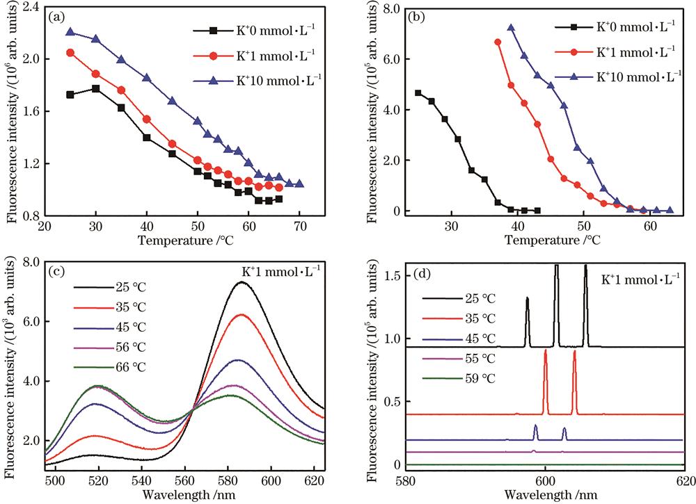 Spectrally integrated emission intensity as a function of the temperature. (a) Spectrally integrated emission intensity of the fluorescence from 555 nm to 620 nm as a function of the temperature with different concentrations of K+ solution at same pump energy density; (b) spectrally integrated emission intensity of the lasing from 580 nm to 620 nm as a function of the temperature with different concentrations of K+ solution at same pump energy density; (c) fluorescence spectra at different temperatures with 1 mmol/L concentration of K+ solution; (d) laser spectra at different temperatures with 1 mmol/L concentration of K+ solution