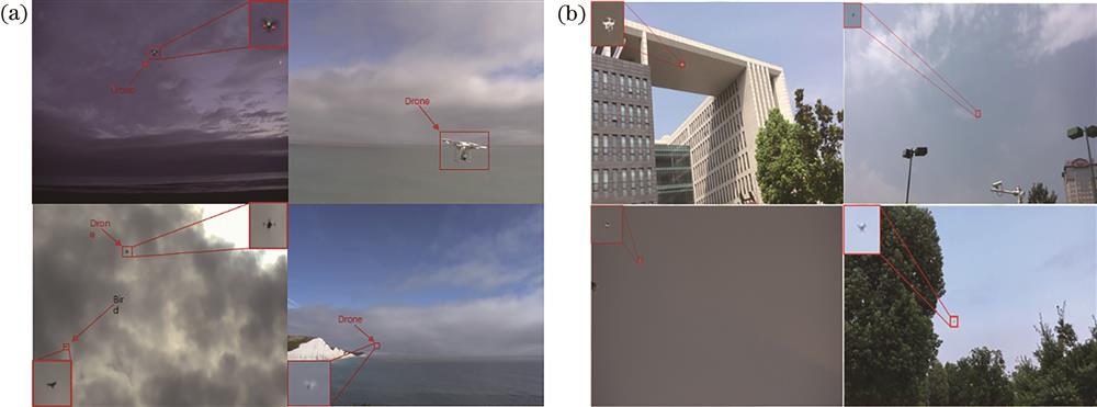 Partial pictures of datasets. (a) Dataset A; (b) Dataset B
