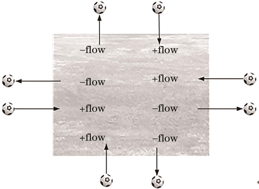 Schematic of spatio-temporal flow model