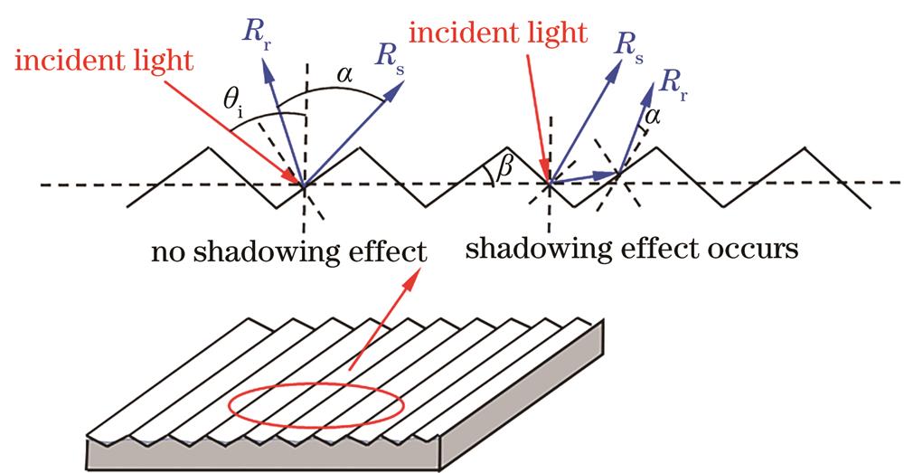 Schematic diagram of light incident on the wrinkled surface of the structure