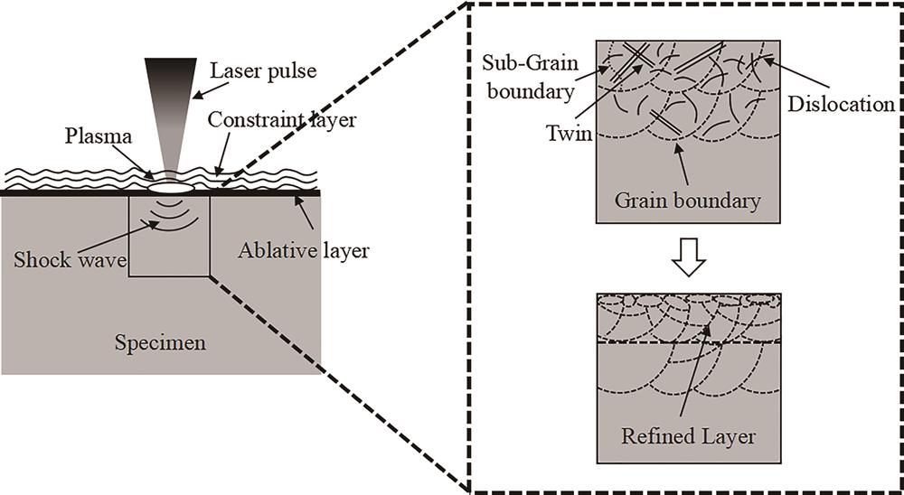 Schematic of laser shock peening and its microstructural evolution in the peened region[8]