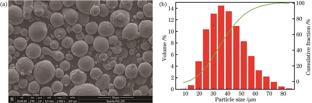 Morphology and particle size distribution of basic aluminum alloy powder. (a) Morphology; (b) size distribution