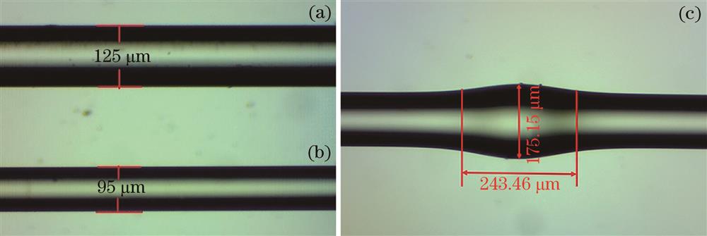 Optical microscope image of the TCF. (a) TCF before etching; (b) TCF after etching; (c) structure of the thick taper