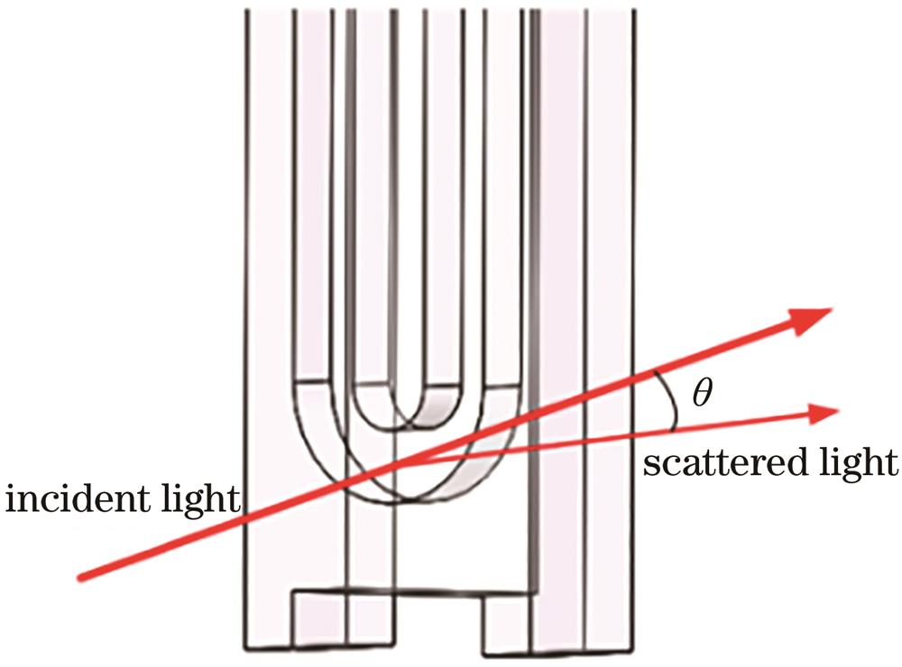Schematic diagram of the optical path and detection position of the capillary cell