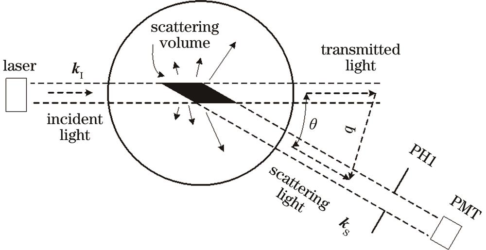 Diagram of dynamic light scattering