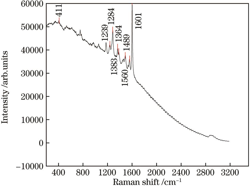 Raman spectrum of sample No.5 of class Ⅰ