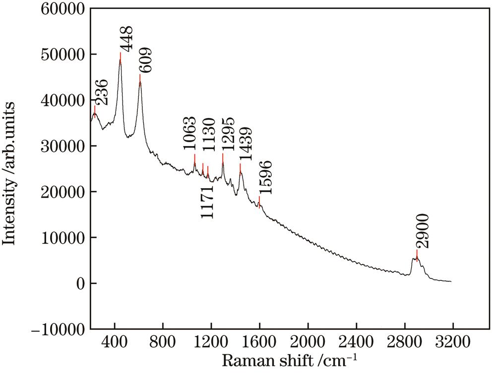Raman spectrum of sample No.25 of classⅡ