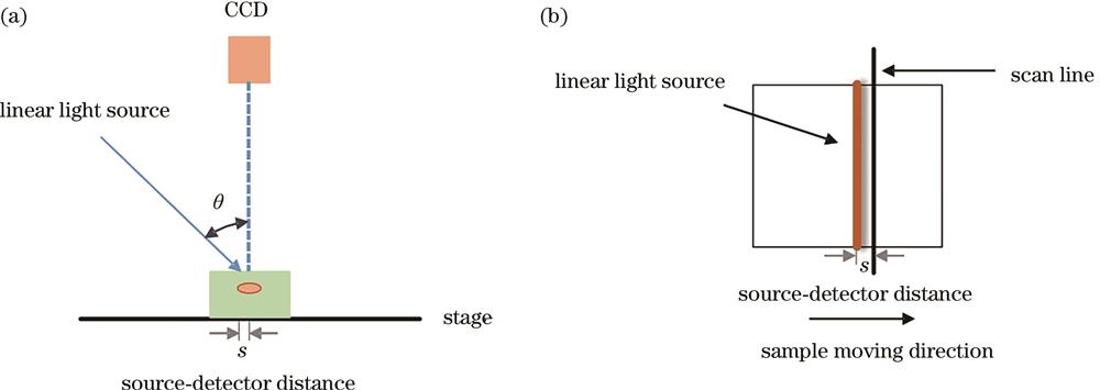 Schematic of line-scan virtual imaging system. (a) Line-scan imaging system; (b) line-scan schematic