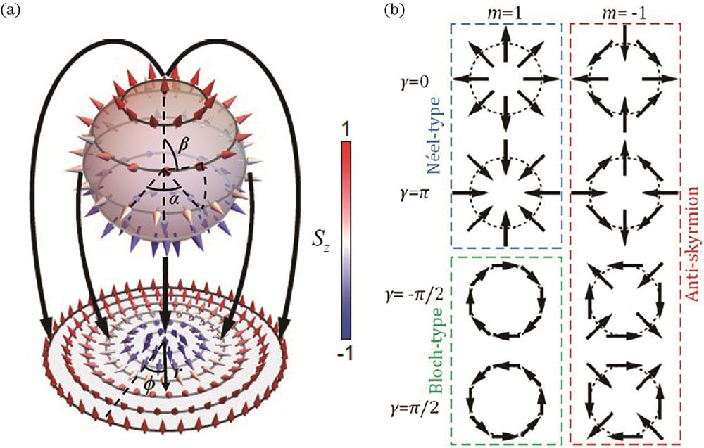 Analysis of the vector distributions of a skyrmion[27]. (a) Mapping from a skyrmion conﬁguration to the unit sphere; (b) transverse vector distribution at given radii of the skyrmions with various values of m and γ