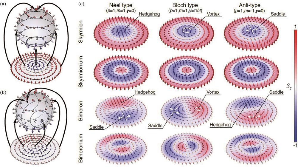 Diverse forms of skyrmions[33-34]. (a) Mapping of skyrmions; (b) mapping of bimerons; (c) topological structure with classifications of skyrmion, skyrmionium, bimeron, and bimeronium. In each class, they are also classified by Néel-, Bloch-, and anti-type