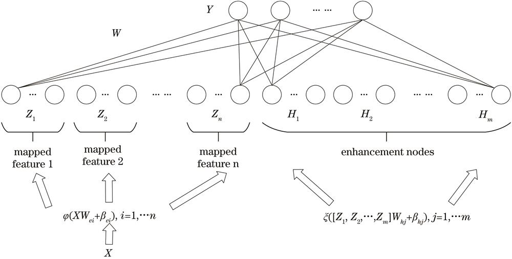 BLS structure diagram