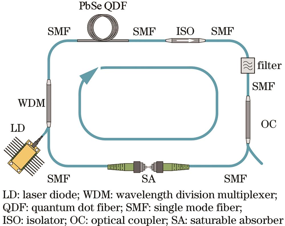 Structure of ANDi dissipative soliton mode-locking fiber laser with a PbSe QDF as gain medium