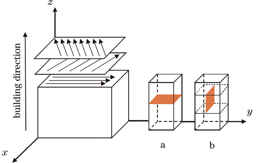 Schematic of printing strategy of hydrogen resistant steel HR-2 and sampling of sliced samples