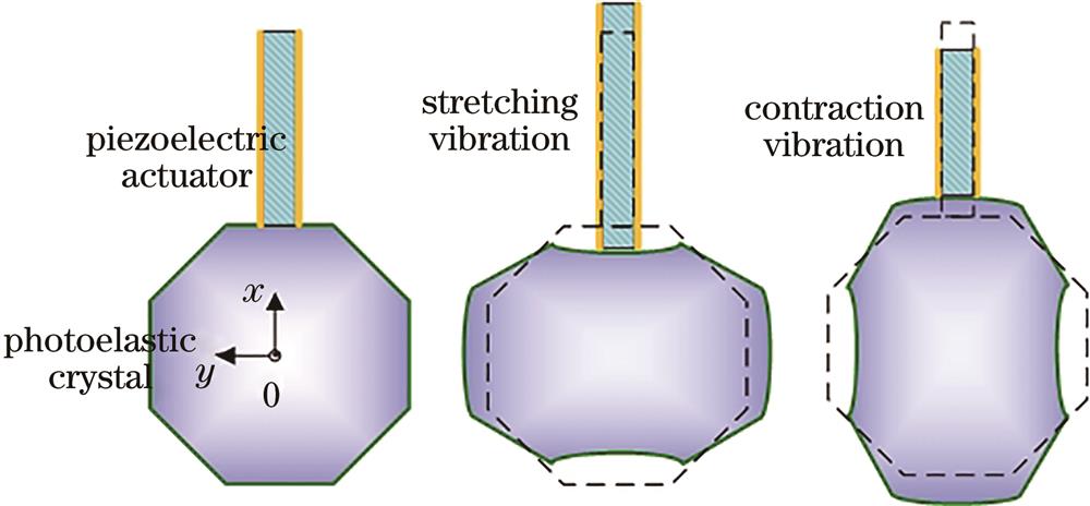 Vibration model of PEM