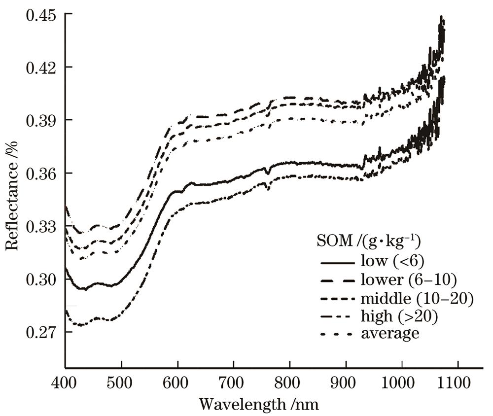 Reflectance curves of soil with different organic matter contents