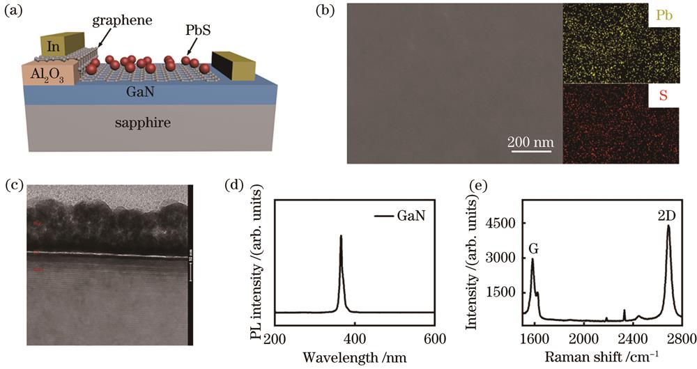 Experimental results. (a) Schematic diagram of the PbS QDs/Gr/GaN device; (b) SEM image of PbS QDs/Gr/GaN surface; (c) TEM image of PbS QDs/Gr/GaN; (d) photoluminescence spectra of GaN; (e) Raman spectra of the single-layer Gr