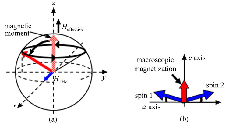 (a) Illustration showing the dynamics of magnetic moment. The magnetic moment is tilted within y-z plane by the impulsive magnetic ﬁeld along x axis (blue arrow), and begins precession motion around z axis; (b) Ordering of Fe3+ magnetic moments in YFeO3[12]