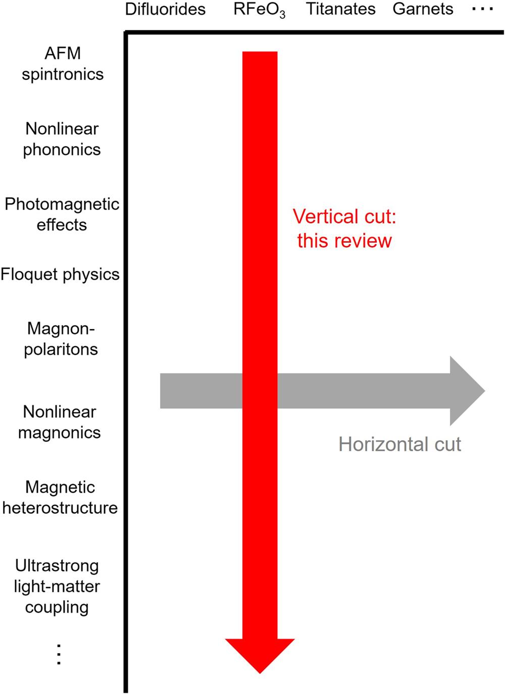“Phase space” for review articles in spintronics, spanned by the horizontal axis of materials and vertical axis of novel physical phenomena. The current review represents a vertical cut in the phase space.