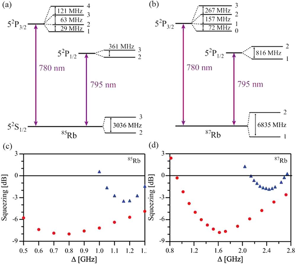 (a), (b) Hyperfine levels in D1 and D2 line transitions of 85Rb (a) and 87Rb (b). (c), (d) Experimentally measured squeezing levels in the D1 (red circles) and D2 (blue triangles) lines of 85Rb (c) and 87Rb (d) versus pump detuning. Adapted from [73].