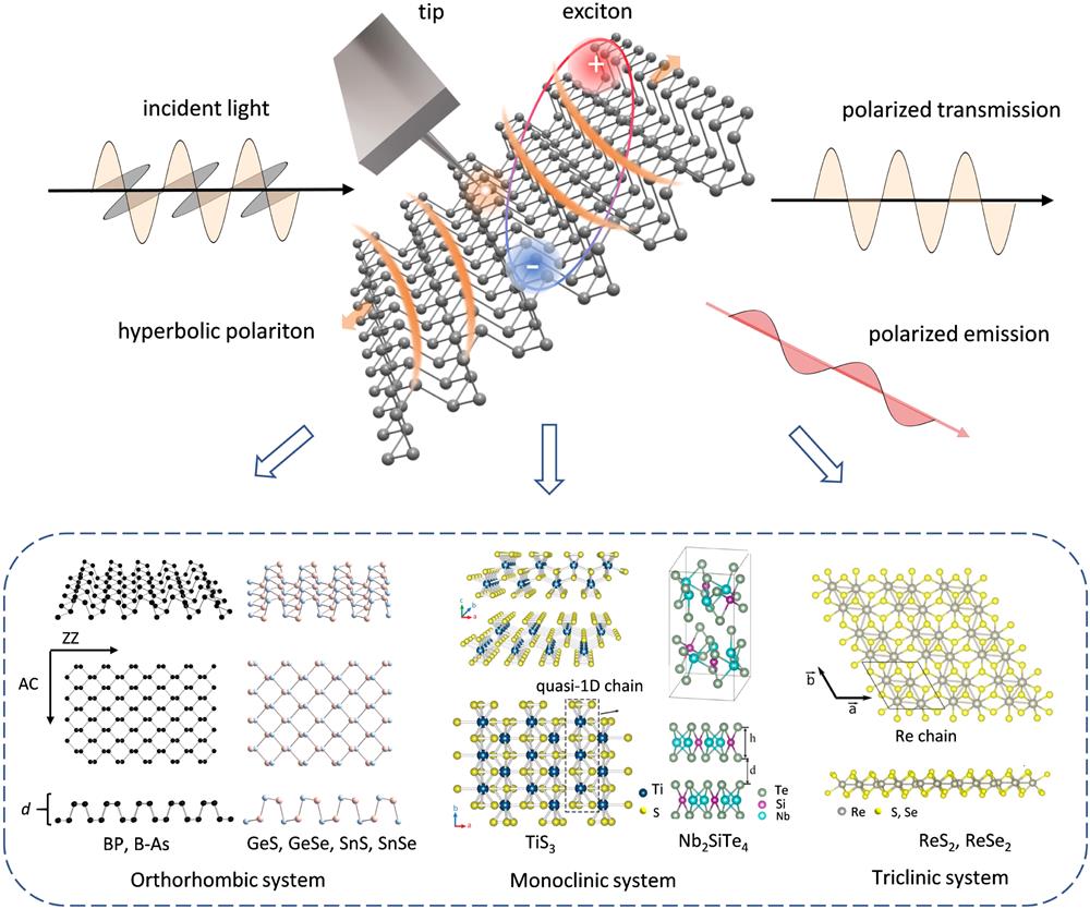 Light–matter interaction and atomic structures of anisotropic 2D semiconductors.