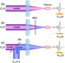 Plasma-based terahertz wave photonics in gas and liquid phases