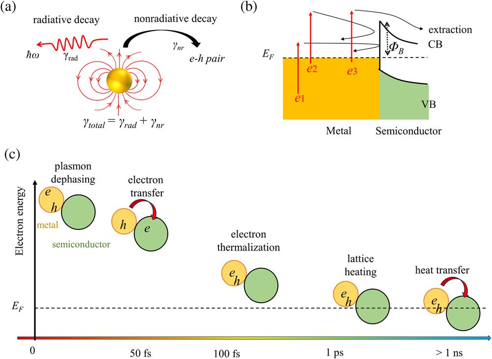 (a) Schematic of the dephasing of localized surface plasmon resonance of metal nanoparticles. The total plasmon dephasing rate (γtotal) is the sum of radiative (γrad) and nonradiative (γnr) dephasing rates. The nonradiative plasmon dephasing generates electron–hole (e-h) pairs. (b) Illustration of plasmon-induced hot electron transfer in metal/n-type semiconductor hybrid system. CB, conduction band; VB, valence band. The low-energy electron (e1) does not have enough energy to surmount the interfacial energy barrier (ΦB). The high-energy electron (e2) may suffer from energy loss in the transport and thus is also unable to inject into the semiconductor. For a successful electron transfer (e3), significant energy loss should be avoided. (c) Time scales of hot electron dynamics in metals and electron transfer from metal to semiconductor.