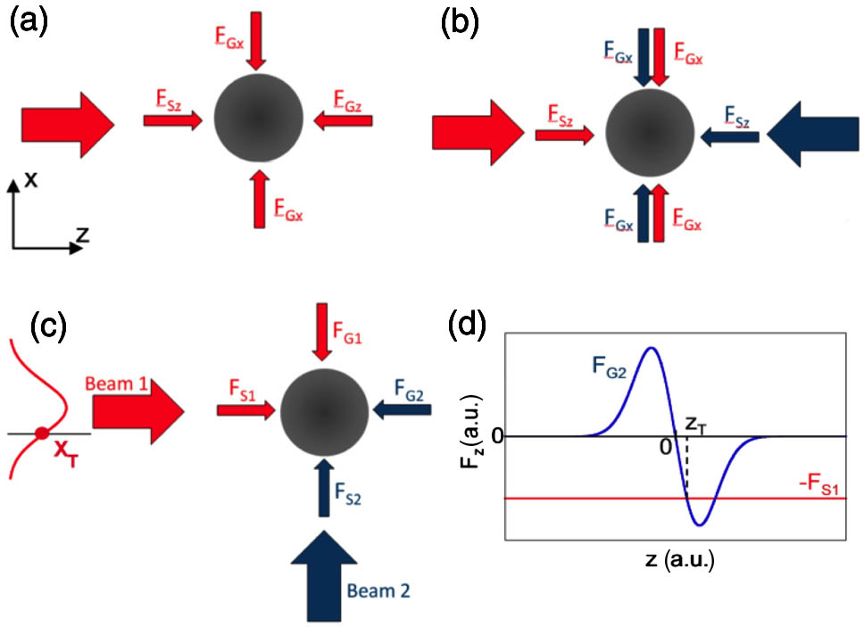 (a) Single-beam tweezer trap (FG, gradient force; FS, scattering force), (b) dual-beam trap (Beam 1 is shown in red and Beam 2 is shown in blue to aid in identifying from which beam these forces originated), (c) OBT, and (d) z-dependent forces at fixed x coordinate highlighted in (c); trapping occurs at zT, where the gradient force from Beam 2 is restoring.