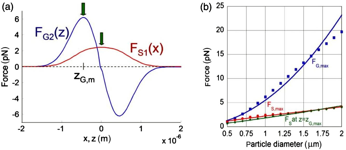 Analytically calculated forces on microbead in identical collimated beams. (a) Gradient force along z from Beam 2 and scattering force along x from Beam 1 versus transverse coordinate; curves need to intersect between the origin and location of maximum gradient force to form a stable trap [locations of maximum gradient and maximum scattering force used for (b) are shown with green arrows]. (b) Particle size dependence of forces at relevant points (symbols) and fits with second-order polynomial (lines).