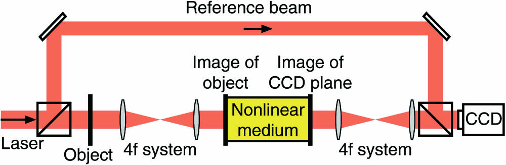 Experimental apparatus for nonlinear imaging experiments. The general structure is that of an interferometer. The object is placed in the signal beam and is projected onto the input window of the nonlinear medium (glass cell filled with acetone) by a 4f lens arrangement. The output window of the medium is imaged onto a CCD camera. The reference beam is introduced at an angle for the recording of off-axis digital holograms.