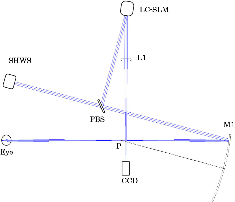 Schematic of the single curved mirror AO ophthalmoscope. M1 is the curved mirror. L1 is an imaging lens. P is the focal point of the mirror. A polarization beam splitter (PBS) divides the light into two orthogonal polarization components, the S and P polarization components. The linearly polarized light whose direction is along the axis of the liquid crystal molecules will be used for correction and imaging. The light polarized orthogonally is received by the wavefront sensor for wavefront detection.