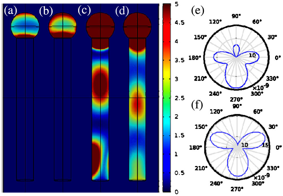 Power dissipation in the plasmonic nanorod structure as a function the light wavelength: (a) 1000 nm, (b) 750 nm, (c) 600 nm, (d) 550 nm. The neighboring nanorods are placed with a spacing of 60 nm. Scattering profiles of the Au–ZnTe element at λ=600 nm for directions (e) perpendicular and (f) parallel to the polarization plane of light.