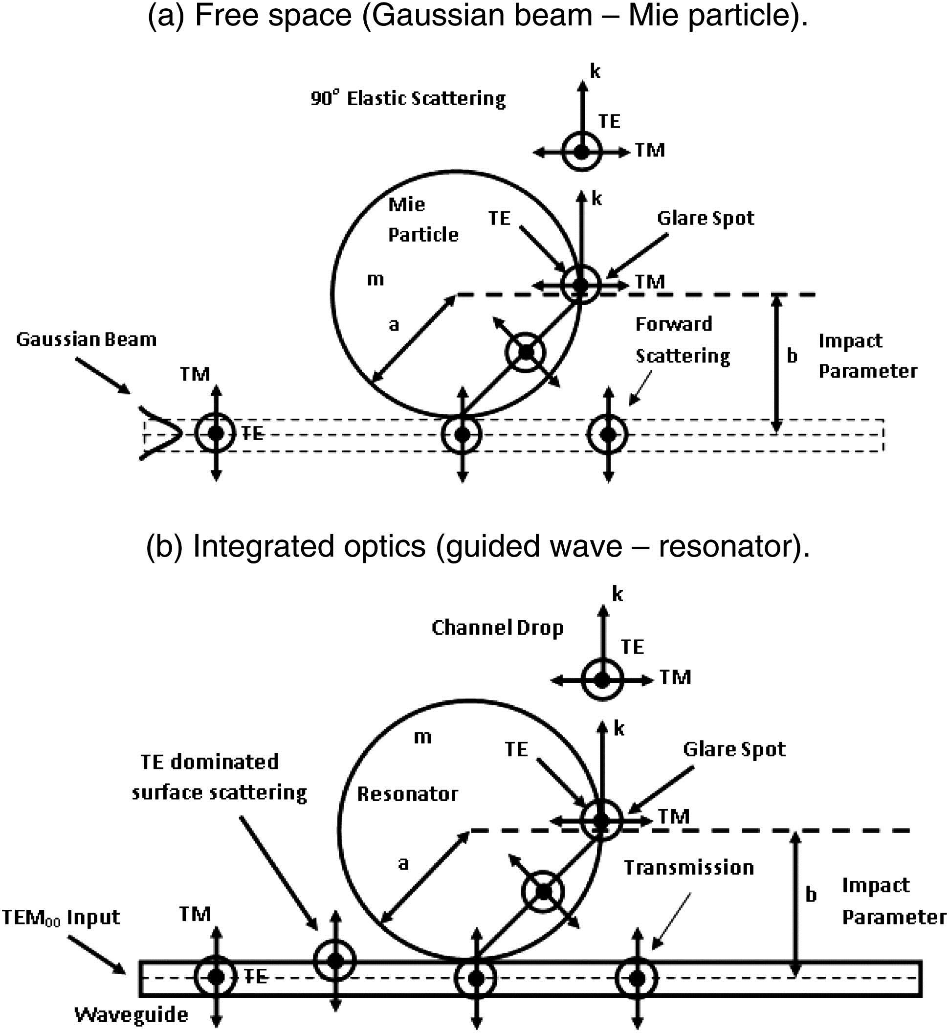 (a) Free-space and (b) integrated optics depiction of a silicon microsphere with radius a coupled to a single-mode OFHC placed at an impact parameter b, and the elastic scattering due to the WGMs, GS, and SI.