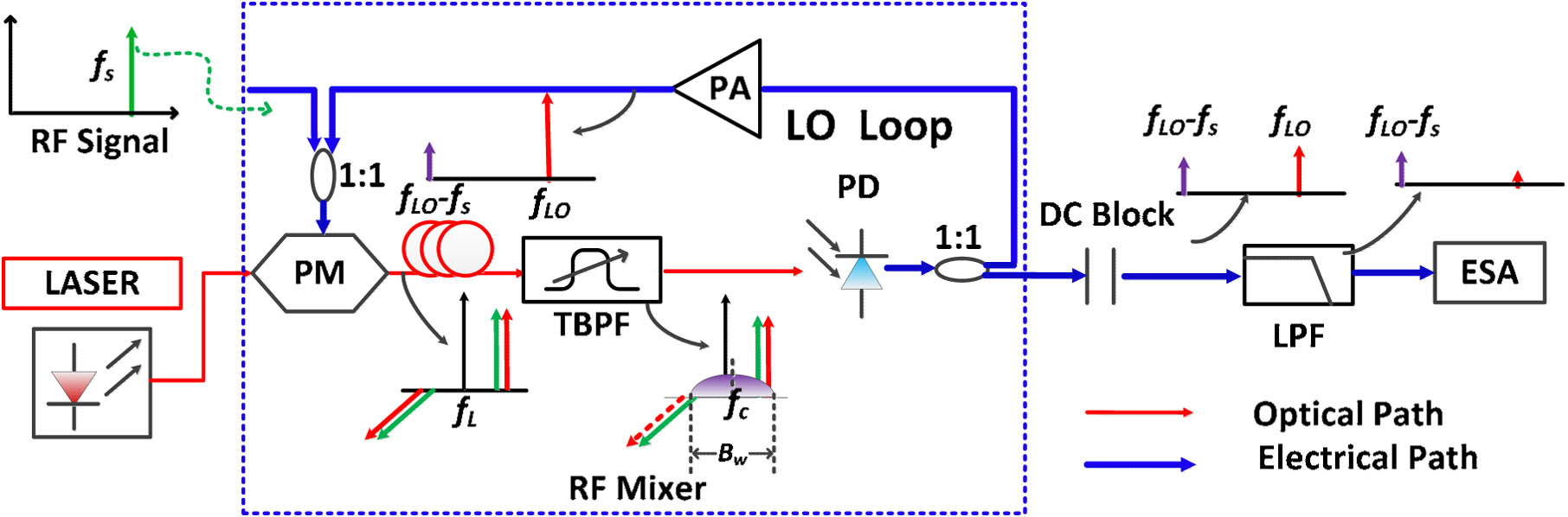 Schematic diagram of the simple RF photonic down-converter integrating with OEO-based LO.