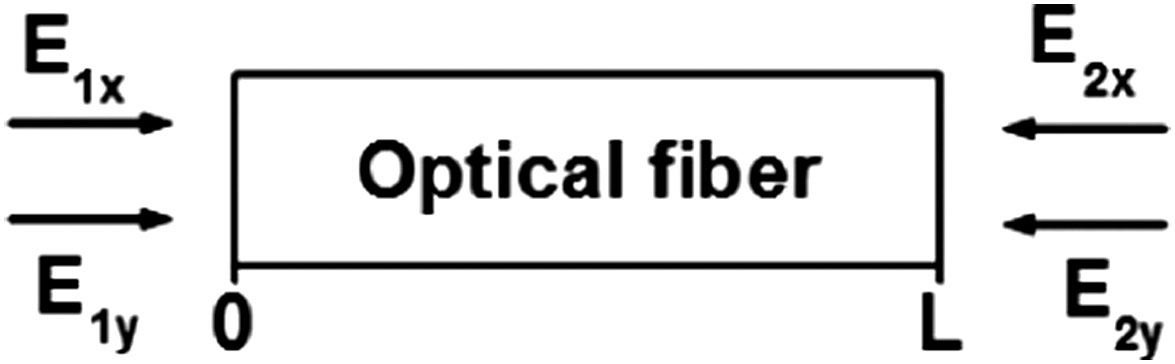 Schematic arrangement of SBS in an optical fiber of length L: E1x, PW; E1y, PW; E2x, SW; E2y, SW.