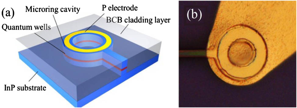 (a) Schematic diagram of the microring laser connected with an output waveguide, and (b) a microscopic picture of a microring laser with a cleaved output waveguide.