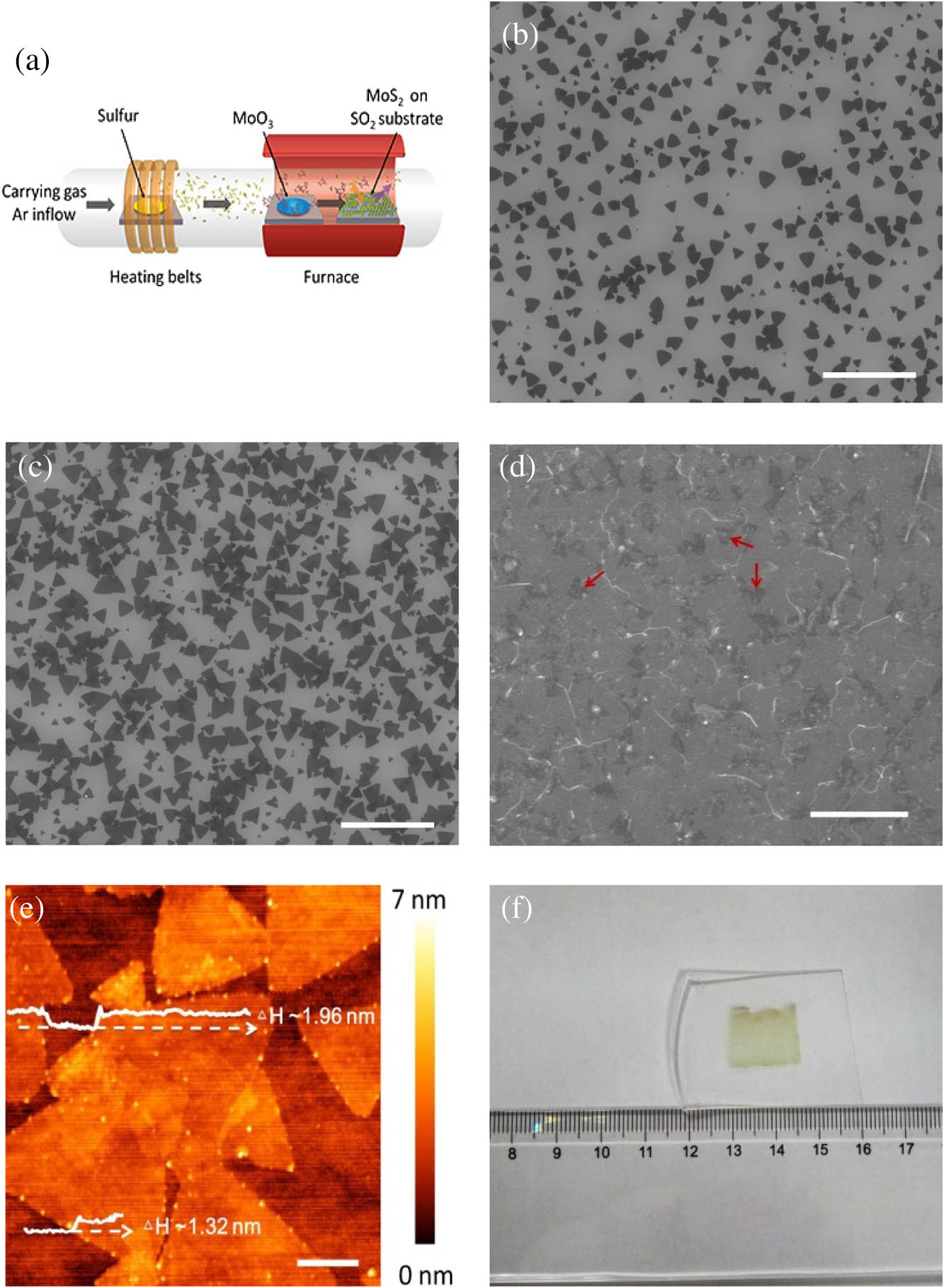 Material characterizations of MoS2; (a) schematic diagram showing the chemical synthesis of MoS2; (b–d) SEM images showing different growth stages of MoS2 with different reaction times of 5, 12, and 30 min, respectively. Scale bars, 10 μm; (e) AFM topography of MoS2 film on SiO2 substrate. Bottom and top white profiles indicate bilayer and trilayers, respectively. Scale bar, 1 μm; (f) optical image of large-area MoS2 film transferred onto PDMS substrate.