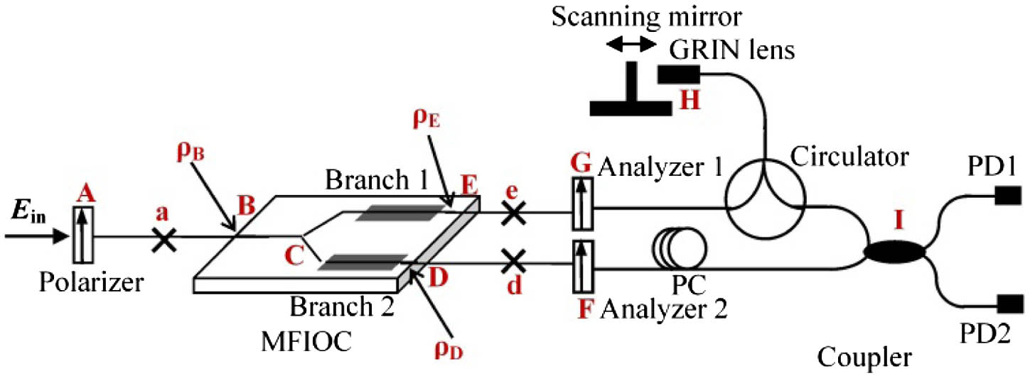 Schematic diagram of the ultra-simple dual-channel configuration for simultaneously evaluating the MFIOC. GRIN, graded index.