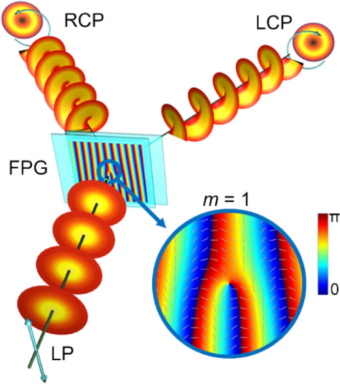 Schematic diagram and diffraction property of a director-varying LC fork grating with m=1. The color variation from blue to red indicates the director varying from 0 to π continuously, and the gray sticks label the local director orientations. The polarization vectors observed along the light propagation direction are marked with arrows. LCP, left circularly polarized; LP, linearly polarized; RCP, right circularly polarized.