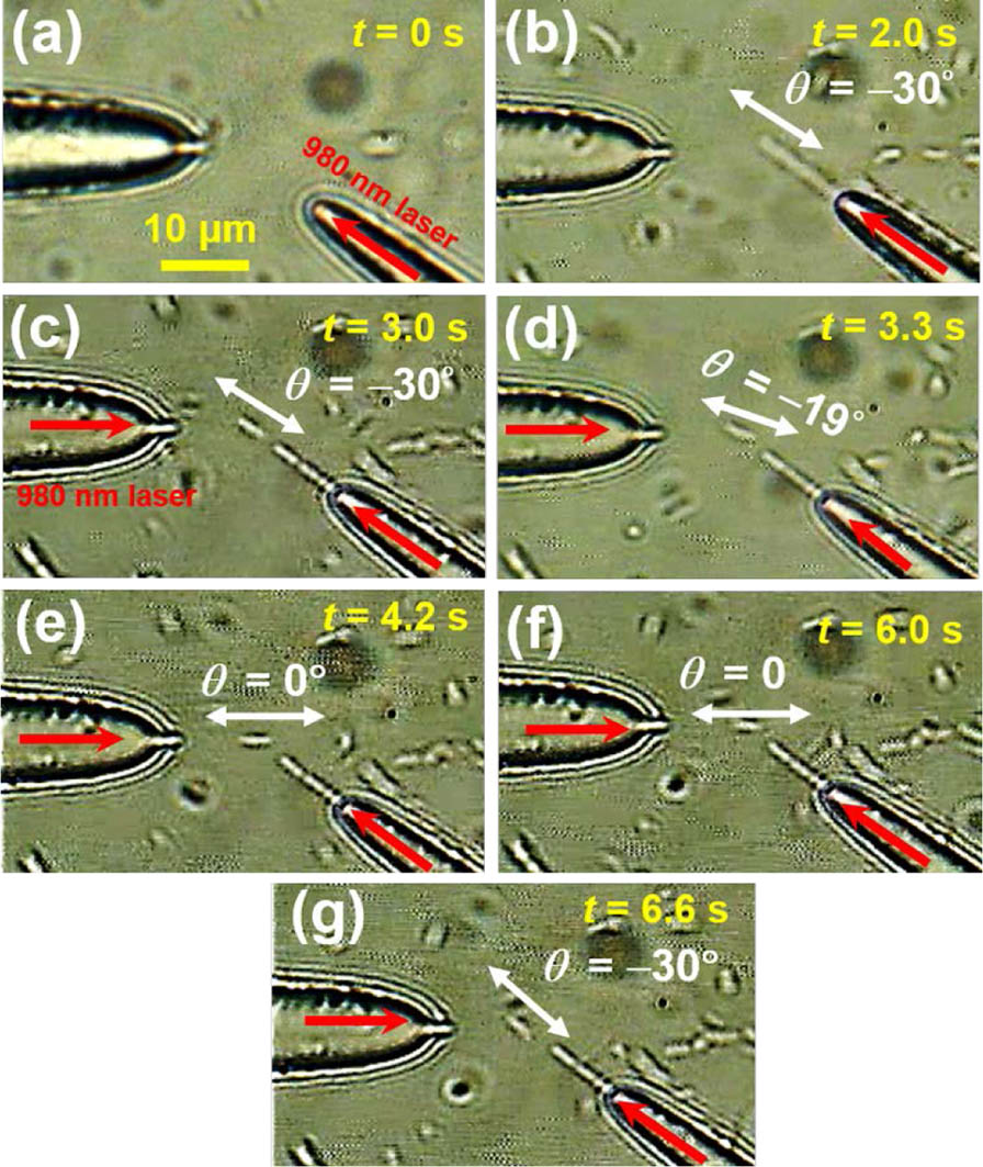 Optical microscope images for trapping and orientation of the E. coli. (a) At t=0 s, turning on the 980 nm laser of 25 mW into probe I, the cells began to be trapped one after another. (b) At t=2 s, a cell chain consisting of three E. coli cells was connected to the tip of probe I. (c) At t=3 s, after a laser beam of 20 mW was injected into probe II, the last E. coli of the chain was pulled away from the chain. (d) At t=3.3 s, the angle between the axis of the E. coli and probe II (θ) was −19°. (e) At t=4.2 s, the input power of probe II was increased from 20 to 35 mW and the cell was orientated along probe II with θ of 0. (f) At t=6 s, the input power of probe II was decreased from 35 to 15 mW and the cell began to rotate. (g) At t=6.6 s, the cell was orientated along probe I with θ of −30°.