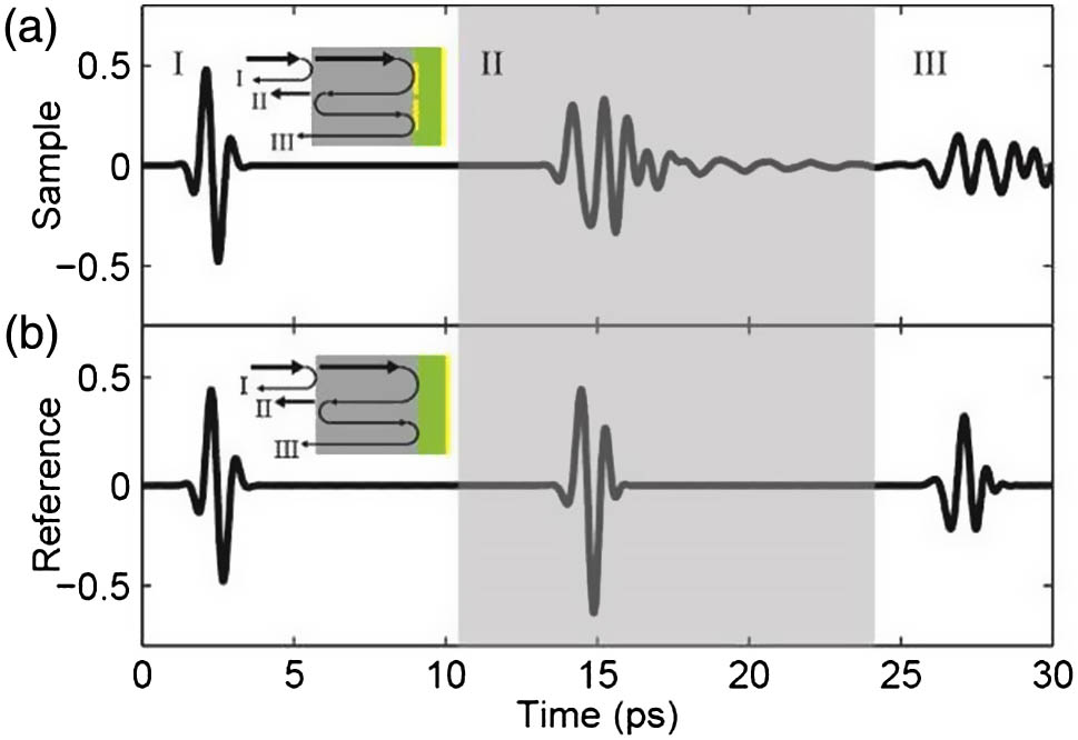 Simulated time-domain response of (a) the MPA and (b) the reference demonstrates the multi-reflection effect of the GaAs substrate. The second pulse (gray shaded area) is the internal absorption response that is considered in our analysis.