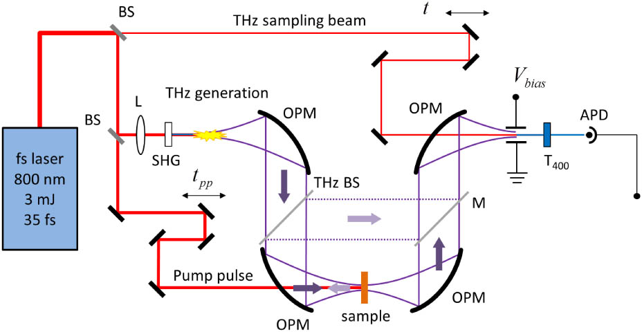 Experimental setup for static and transient THz-TDS. For static spectroscopy, the pump pulse is blocked. The THz beam splitter (BS) together with mirror M are used in reflection mode.