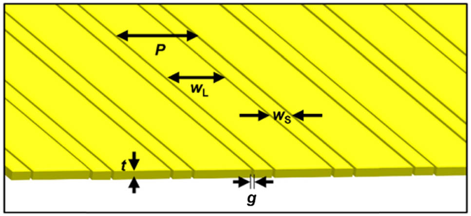 Sketch of the double-width plasmonic grating design with nanogap spacing. The nanostructure height, t, period, P, the short width, wS, the long width, wL, and the nanogap width, g, are labeled.