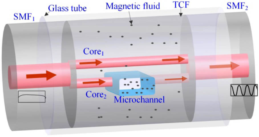 Schematic diagram of the proposed magnetic field sensor.