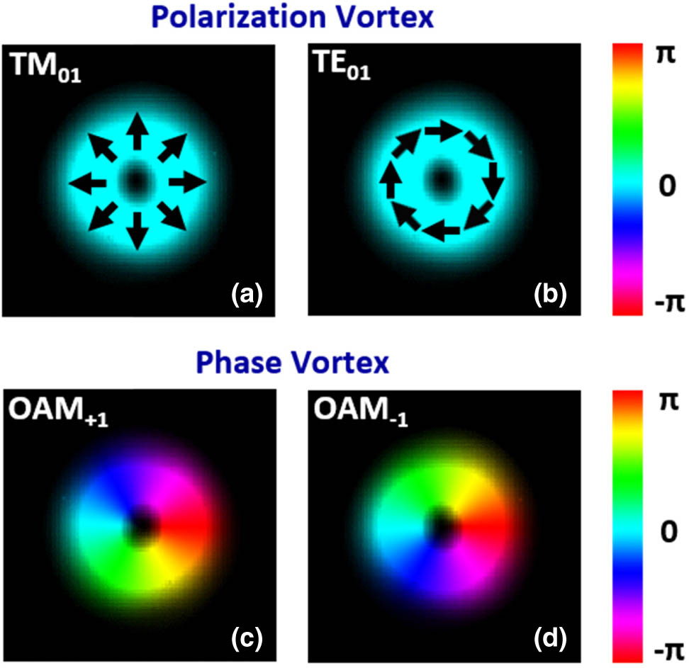 Schematic illustration of field distributions (polarization, amplitude, phase) of (a,b) polarization vortex and (c,d) phase vortex beams. (a) Radially polarized beam (TM01). (b) Azimuthally polarized beam (TE01). (c) OAM beam with topological charge value of +1 (OAM+1). (d) OAM beam with topological charge value of −1 (OAM−1).