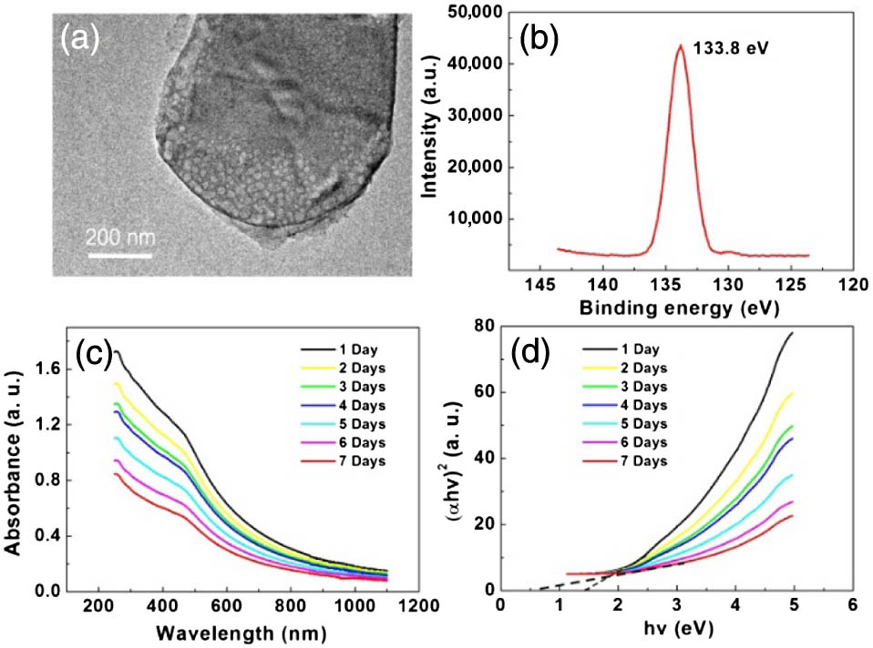 Characterization of OBP. (a) TEM image and (b) XPS spectra of OBP. (c) Optical absorbance of an OBP nanosheet from 1 day to 7 days. (d) Representative direct Tauc plots used to determine the band-to-band transition from 1 day to 7 days.