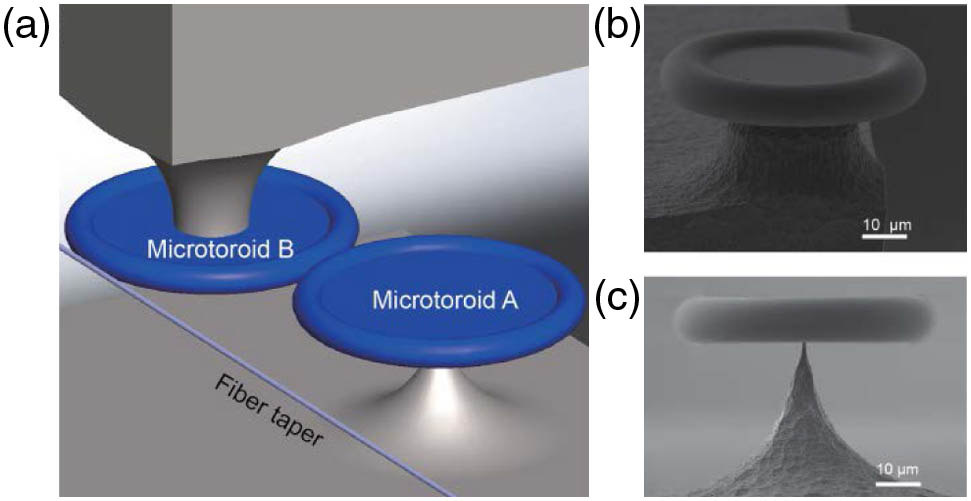 (a) Physical implementation of the coupled-microtoroid cavity system. Here, only microtoroid B is coupled to the fiber taper. (b) Scanning electron microscope (SEM) image of microtoroid B with a large pillar diameter of about 20 μm. (c) SEM image of microtoroid A with a small pillar diameter of about 0.8 μm.
